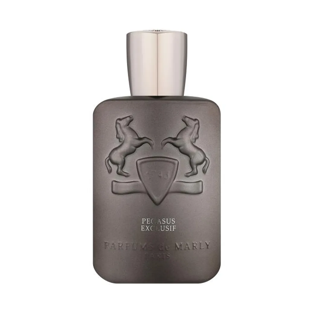 z13 Pegasus Exclusif — изображение 1